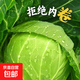 包菜新鮮卷心菜大頭菜農(nóng)戶自種當(dāng)季綠葉蔬菜綠甘藍(lán) 綠甘藍(lán) 3斤