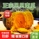 貝貝南瓜正宗板栗味小南瓜新鮮寶寶輔食粉糯營(yíng)養(yǎng)豐富優(yōu)質(zhì)老南瓜 貝貝南瓜凈重 5斤