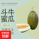 都知果寧夏沙地斗牛蜜瓜軟糯香甜綿軟可口自然成熟產(chǎn)地直發(fā) 2粒裝（凈重5-6斤）