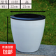 懶人花盆加厚水培自動(dòng)吸水控根透氣防爛根大號家用綠蘿多肉塑料盆 M11#黑白懶人盆口22cm