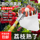 摘水果神器伸縮桿高空采摘楊梅枇杷果子摘果器摘水果摘果神器工具 10米加固桿+網(wǎng)兜頭+鐮刀+鉤