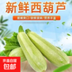 京喜加西葫蘆農家自種新鮮蔬菜現摘生瓜三月小瓜番瓜倭茭瓜西葫蘆 西葫蘆帶箱 2斤
