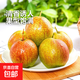 陜西玉露香梨當季新鮮香梨酥脆可口產(chǎn)地直發(fā)單果150g+華北強 帶箱9斤【凈重8.5斤】