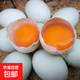 農家散養鴨蛋新鮮生鴨蛋土鴨蛋綠殼青皮鴨蛋營(yíng)養豐富 10枚 50g-60g