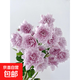月季特大花濃香果汁陽(yáng)臺(tái)庭院花卉植物盆栽薔薇四季玫瑰花苗帶花苞 幻紫原土發(fā)貨小苗10cm左右