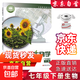 【新華書(shū)店正版】初中蘇教版7七年級下冊生物書(shū)蘇教版七7年級下冊生物學(xué)課本教材七下生物教科書(shū)初一下冊生物蘇教版 七年級下冊生物【蘇教版】
