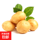 河南新鮮黃皮黃心土豆現挖洋芋土豆馬鈴薯 新鮮現貨河南產(chǎn)地直發(fā) 黃心土豆 中果 2斤