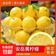 四川安岳黃檸檬薄皮新鮮采摘當季一級檸檬奶茶店專(zhuān)用香水鮮檸檬 檸檬帶箱9斤單果50g+