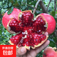 石榴樹(shù)苗突尼斯軟籽石榴苗大紅袍蒙陽(yáng)紅盆栽地栽嫁接果樹(shù)苗木 紅如意5年苗【當年結果】