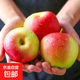 渤海灣嘎啦蘋(píng)果5斤3斤新鮮水果當季整箱脆甜小平果紅富士果光 好吃又好看（品質(zhì)一流） 5斤
