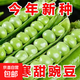 甜脆青豌豆種子豌豆種籽臺(tái)灣長(zhǎng)壽豆仁碗豆孑老品種碗豆種籽蔬菜籽 甜脆豌豆種子 5包約150粒