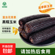 正宗東北【黑糯】玉米真空鎖鮮包裝低脂健康無污染加熱即食代餐 優(yōu)質(zhì)黑糯玉米 10根/箱