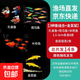 小型觀賞魚孔雀魚米奇魚斑馬魚白云金絲金苔鼠魚小型熱帶魚活體魚 孔雀斑馬米奇各4條+金苔鼠2條新