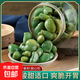 臘八蒜綠蒜新鮮泡蒜頭山東特產(chǎn)腌制泡菜糖醋大蒜下飯菜泡菜咸菜 250g*1袋