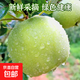 2025現(xiàn)摘青蘋果新鮮水果當(dāng)季時令酸脆甜孕婦水果猴哥 青蘋果帶箱1斤60mm