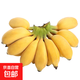 京喜自營 廣西網(wǎng)紅小米蕉 青香蕉發(fā)貨放熟吃 新鮮水果一件包郵 青蕉發(fā)貨 凈重5斤