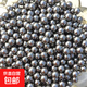 新款威龍40連發(fā)復(fù)合弓打鋼珠成年人專用戶外彈弓高精度激光瞄準(zhǔn)器 8mm鋼珠一斤