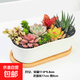 【組合多肉帶盆】年宵花?植物組合綠植花卉肉肉植物套餐拼盤(pán)送禮 長(zhǎng)陶瓷盆+托+10顆多肉+土