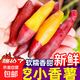 2025年現(xiàn)挖小香薯新鮮番薯板栗紅薯地瓜軟糯金手指拇指蔬菜包郵 9斤【約30~90根】源頭直采包郵