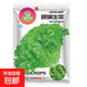 【虧本沖量】四季玻璃生菜奶油生菜種子脆嫩生吃種籽四季盆栽蔬菜 玻璃生菜種子【800?！?品牌原廠(chǎng)彩包
