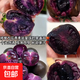 【墨明珠黑番茄】黑玫瑰番茄紫龍樊圣女果紫瓤紫色汁水水果小柿子 墨明珠小番茄 3斤 凈重 富含花青素的小番茄