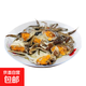 鮮活六月黃大閘蟹河蟹清水螃蟹1.4-1.7兩/只10只12只裝 1.4-1.7兩/只14+2只補死亡