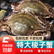 開(kāi)海新鮮梭子蟹鮮活冷凍梭子蟹特大號(hào)螃蟹海蟹青蟹白蟹飛蟹 大號(hào)母蟹2-3只每斤【到手5斤】