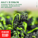 特級正宗安溪鐵觀音茶葉濃香型高山烏龍茶純手工蘭花香新茶自己喝 【嘗鮮】特級鐵觀音1包8克