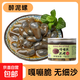 京喜加泥螺醉泥螺即食生腌寧波特產大號無沙腌制海鮮舟山特產黃泥螺 【大號】醉泥螺5 500g 易拉罐