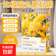 花香樟腦丸家用衣柜防蟲(chóng)防霉防蛀片劑驅蟲(chóng)章腦球衣物鞋柜衣服留香 【桂花香*48袋】