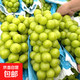 陽(yáng)光玫瑰葡萄現摘現發(fā)生鮮青提提子生鮮館紅提肉多多藍寶石葡萄水 現摘陽(yáng)光玫瑰帶箱3斤凈重2.7斤裝
