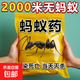 強(qiáng)效螞蟻藥家用室內(nèi)非無(wú)毒廚房野外菜地除治專(zhuān)殺滅螞蟻一鍋全窩端 【10包裝】強(qiáng)效型螞蟻藥