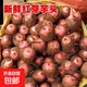 浙江小紅嘴芋頭香芋新鮮現挖紅芽芋頭仔粉糯蔬菜減脂早餐代餐 25年金華紅芽芋帶箱5斤店長(cháng)推薦