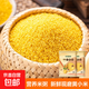 山西黃小米 油小米 月子米黃米粟米雜糧山西特產(chǎn)當季新米 黃小米500g*2袋