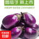 新鮮圓茄糯米茄現摘現發(fā)農家自種新鮮蔬菜生鮮湖南特產(chǎn) 圓茄子 4斤 ±0.4斤