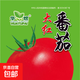 【番茄家庭園藝】西紅柿種子中蔬四號超甜柿子四季蕃茄西紅柿籽種 原裝正品大紅番茄種子約100粒 正品彩包1包