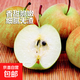 山西玉露香梨新鮮水果產(chǎn)地直發(fā)水果脆甜汁水豐富當(dāng)季新鮮水果梨子 帶箱5斤單果150克+