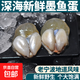 精品大號東海墨魚蛋寧波特產(chǎn)海鮮漁家新鮮淡味烏賊蛋大號目墨魚蛋 1盒墨魚蛋【250g/盒】