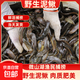 微山湖野生泥鰍新鮮活魚(yú)現(xiàn)殺黃鰍大板鰍去頭去內(nèi)臟400g/盒 微山湖野生泥鰍 400g*3盒(15-25條/盒)