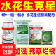 水花生克星爛根劑打革命草專用除草劑闊葉草除草劑正品農(nóng)藥 1組