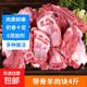 帶骨羊肉塊 大塊新鮮羔羊帶骨肉燒烤火鍋熬湯食材 帶骨羊肉塊4斤