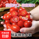 新鮮采摘圣女果櫻桃小番茄蔬菜 帶箱1斤精選果