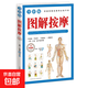 圖解足療刮痧拔罐按摩 零基礎學(xué)足底按摩書(shū)籍手法大全 腳底經(jīng)絡(luò )穴位書(shū)中老年中醫養生書(shū)籍 家庭養生保健手冊對癥推拿按摩書(shū)籍 圖解按摩