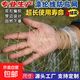 高強滌綸防鳥(niǎo)網(wǎng)果園魚(yú)塘防鳥(niǎo)網(wǎng)尼龍復絲葡萄網(wǎng)壽命更長(cháng)養殖網(wǎng)農業(yè) 滌綸防鳥(niǎo)網(wǎng)（2.5厘米孔） 1米寬5米長(cháng)（拍多發(fā)整塊）