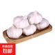 山東金鄉(xiāng)農(nóng)戶直發(fā)【超低價(jià)】新鮮蒜干蒜大蒜頭批蒜頭精選批發(fā)裝 特惠 1斤 大果（5-5.5cm）