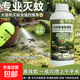 長(zhǎng)效防蚊蟲(chóng)高效氯氟氰菊酯滅蚊子藥庭院戶(hù)外非無(wú)毒藥水噴霧殺蟲(chóng)劑 2瓶【無(wú)贈(zèng)品】