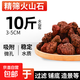 魚(yú)缸火山石溪流石造景底砂養魚(yú)大顆粒濾材水族箱龜多肉 京東物流 火山石3-5cm10斤【精篩魚(yú)缸造景】