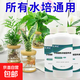 水培植物營(yíng)養(yǎng)液家用水養(yǎng)花卉家庭富貴竹綠蘿濃縮植物專(zhuān)用液體肥料 水培專(zhuān)用營(yíng)養(yǎng)液【300ml*1瓶】