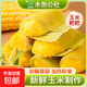 木魚公社木魚公社玉米粑粑360g/10個(gè)傳統(tǒng)粗糧包谷粑粑營養(yǎng)健康學(xué) 【20個(gè)】鮮玉米粑粑 360g*2包
