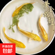 黃金龍鳳錦鯉冷水鸚鵡小草金蘭花草觀賞魚 黃金錦鯉4-6厘米3條裝